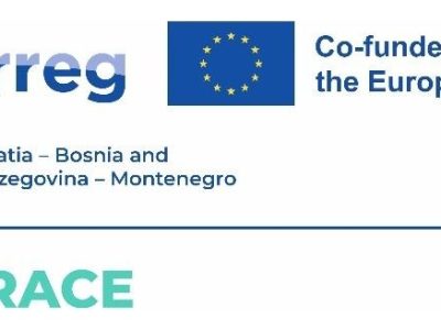 EmBRACE_logo